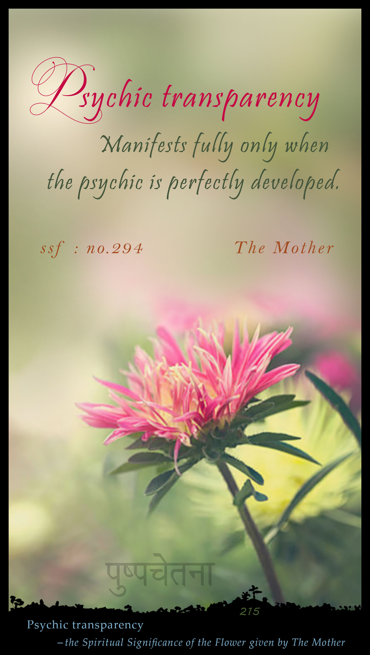 Psychic Transparency